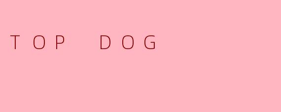 TOP DOG